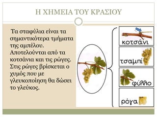 Η ΧΗΜΕΙΑ ΤΟΥ ΚΡΑΣΙΟΥ
Τα σταφύλια είναι τα
σημαντικότερα τμήματα
της αμπέλου.
Αποτελούνται από τα
κοτσάνια και τις ρώγες.
Στις ρώγες βρίσκεται ο
χυμός που με
γλευκοποίηση θα δώσει
το γλεύκος.
 