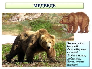МЕДВЕДЬ
Косолапый и
большой,
Спит в берлоге
он зимой.
Любит шишки,
любит мёд,
Ну-ка, кто же
назовет?
 