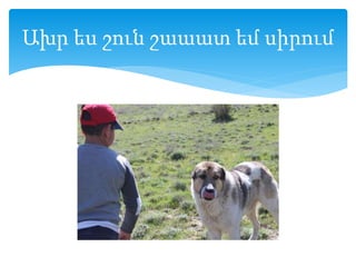 Ախր ես շուն շաաատ եմ սիրում
 