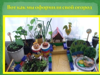 Огород на окне