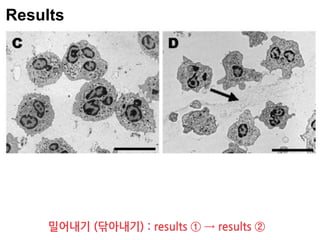 Results
밀어내기 (닦아내기) : results ① → results ②
 