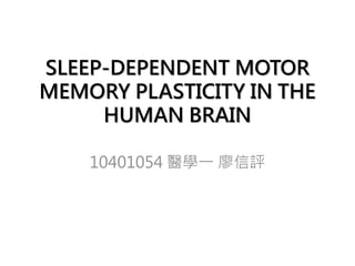 SLEEP-DEPENDENT MOTOR
MEMORY PLASTICITY IN THE
HUMAN BRAIN
10401054 醫學一 廖信評
 