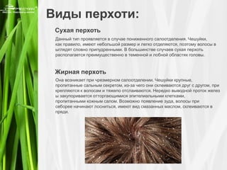 Шампунь с алтайским мумиё ПРОТИВ ПЕРХОТИ серии "Крепкое сибирское" | PPT