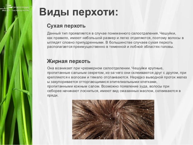 ШколаЖизни.ру