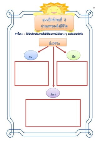 29
สิ่งมีชีวิต
คน
สัตว์
พืช
 
