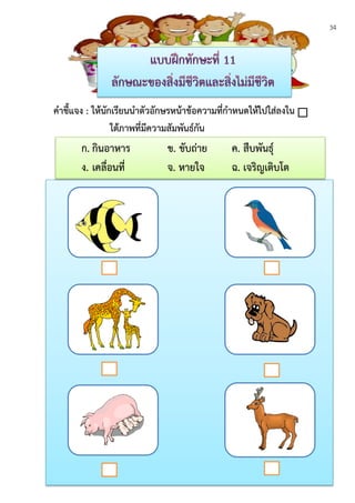 34
คาชี้แจง : ให้นักเรียนนาตัวอักษรหน้าข้อความที่กาหนดให้ไปใส่ลงใน
ใต้ภาพที่มีความสัมพันธ์กัน
ก. กินอาหาร ข. ขับถ่าย ค. สืบพันธุ์
ง. เคลื่อนที่ จ. หายใจ ฉ. เจริญเติบโต
 