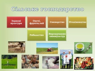 Зернові
культури
Овочі,
фрукти,чай
Свинарство Птахівництво
Рибальство
Вирощування
аквакультур
 