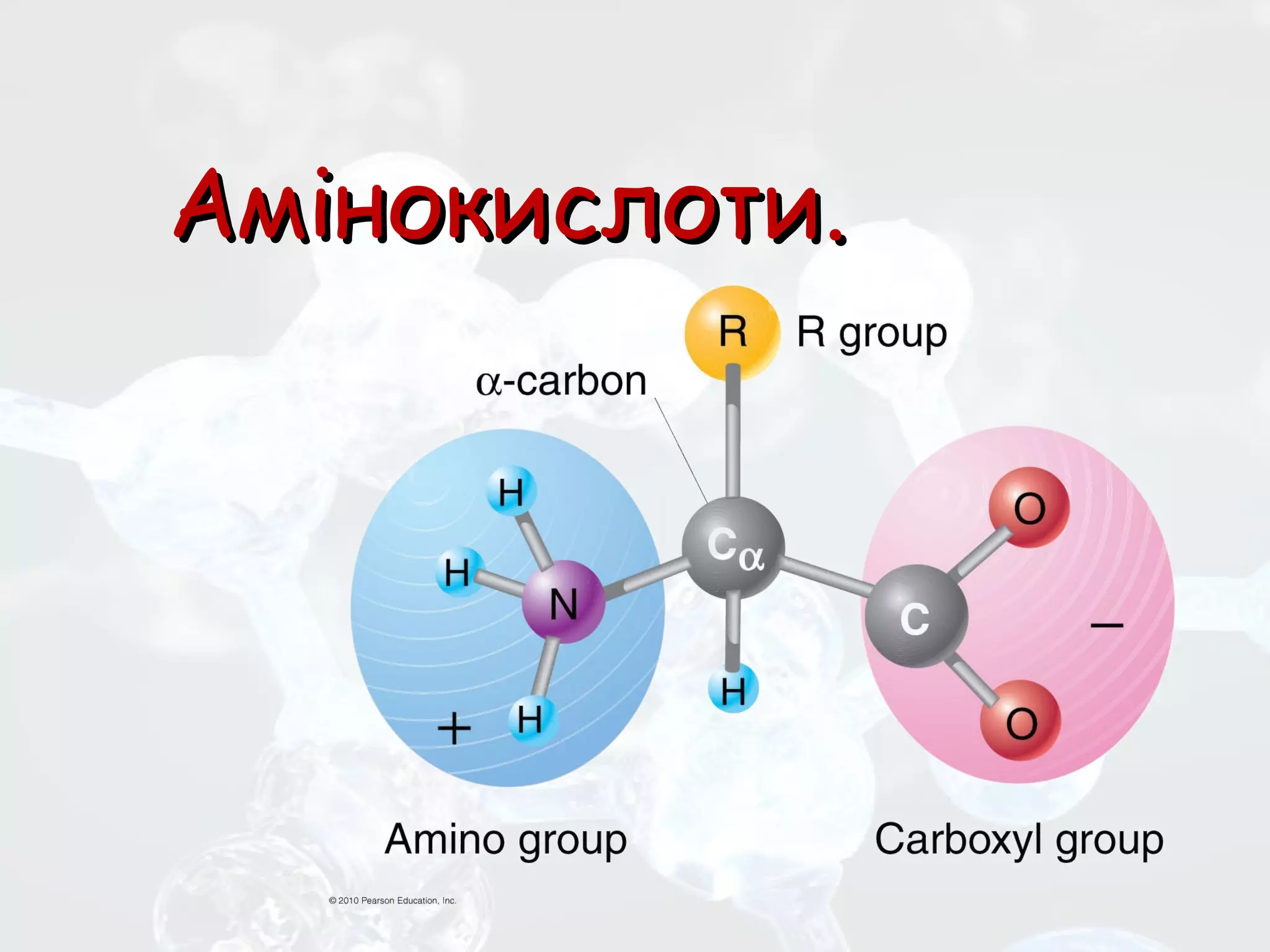 Амінокислоти. | PPT