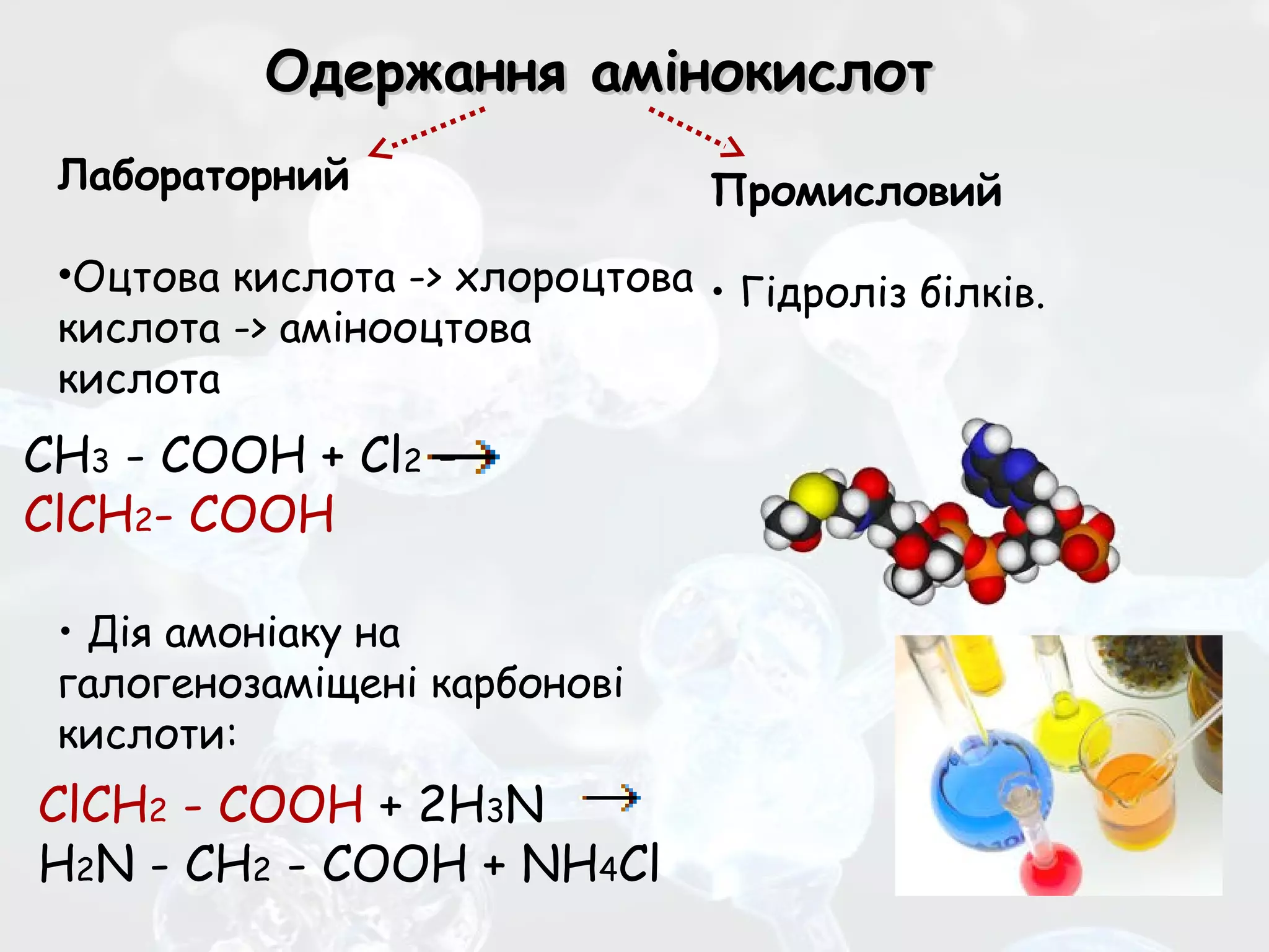Амінокислоти. | PPT