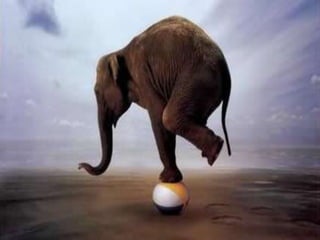 تعرّف على عقلك