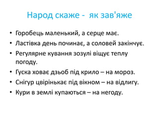 Народ скаже - як зав'яже
• Горобець маленький, а серце має.
• Ластівка день починає, а соловей закінчує.
• Регулярне кування зозулі віщує теплу
погоду.
• Гуска ховає дзьоб під крило – на мороз.
• Снігур цвірінькає під вікном – на відлигу.
• Кури в землі купаються – на негоду.
 