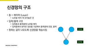 신경망의 구조
• 층 = 레이어 (Layer)
• 뉴런을 여러 개 모아놓은 것
• 입력/출력 구조
• 입력층과 출력층에 뉴런을 배치
• 입력층에서 받아온 정보를 가공해서 출력층에 전달, 출력
• 원하는 값이 나오도록 신경망을 학습시킴
 