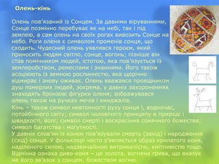 Олень-кінь
Олень пов’язаний із Сонцем. За давніми віруваннями,
Сонце позмінно перебуває як на небі, так і під
землею, а сам олень на своїх рогах вивозить Сонце на
небо. Роги оленя є символом променів сонця, що
сходить. Чудесний олень уявлявся героєм, який
приносить людям світло, сонце, вогонь; пізніше він
став помічником людей, істотою, яка пов’язується із
землеробством, ремеслами і знаннями. Його також
асоціюють із земною рослинністю, яка щорічно
відмирає і знову оживає. Олень вважався провідником
душ померлих людей, зокрема, у давніх захороненнях
знаходять бронзові фігурки оленя; зображувався
олень також на ручках мечів і кинджалів.
Кінь – також символ невтомності руху сонця і, водночас,
потойбічного світу; символ чоловічого принципу в природі і
швидкості, волі; символ смерті і воскресіння сонячного божества;
символ багатства і могутності.
У давніх слов’ян із конем пов’язували смерть (захід) і народження
(схід) сонця. У фольклорі часто з’являється образ крилатого коня,
наділеного силою, надзвичайною витривалістю, кмітливістю тощо.
Відмінна ознака диво-коня – це золота, вогняна грива, що вказує
на його зв’язок з сонцем, божеством вогню.
 