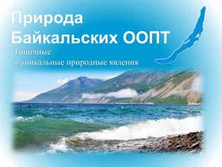 Типичные
и уникальные природные явления