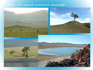 Степи – это самый уязвимый ландшафт