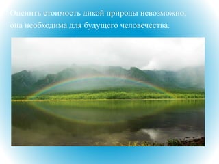 Оценить стоимость дикой природы невозможно,
она необходима для будущего человечества.