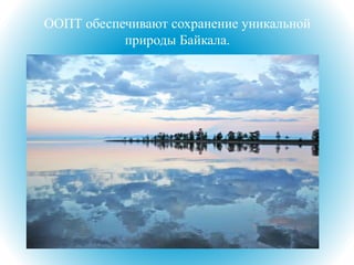 ООПТ обеспечивают сохранение уникальной
природы Байкала.