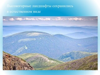 Высокогорные ландшафты сохранились
в естественном виде