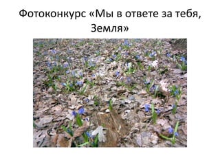 Фотоконкурс «Мы в ответе за тебя,
Земля»