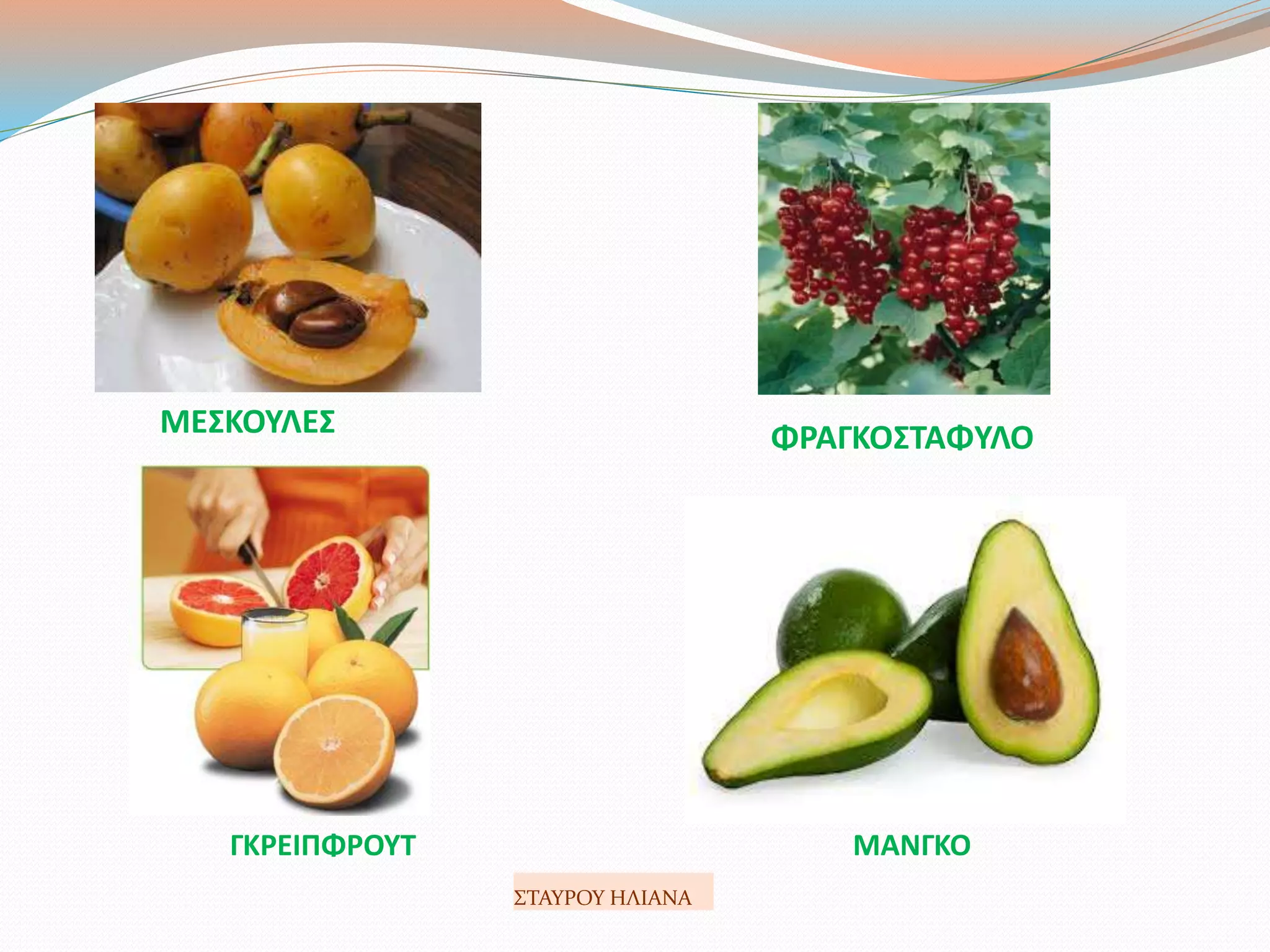 ΜΕΣΚΟΥΛΕΣ ΦΡΑΓΚΟΣΤΑΦΥΛΟ
ΓΚΡΕΙΠΦΡΟΥΤ ΜΑΝΓΚΟ
ΣΤΑΥΡΟΥ ΗΛΙΑΝΑ
 