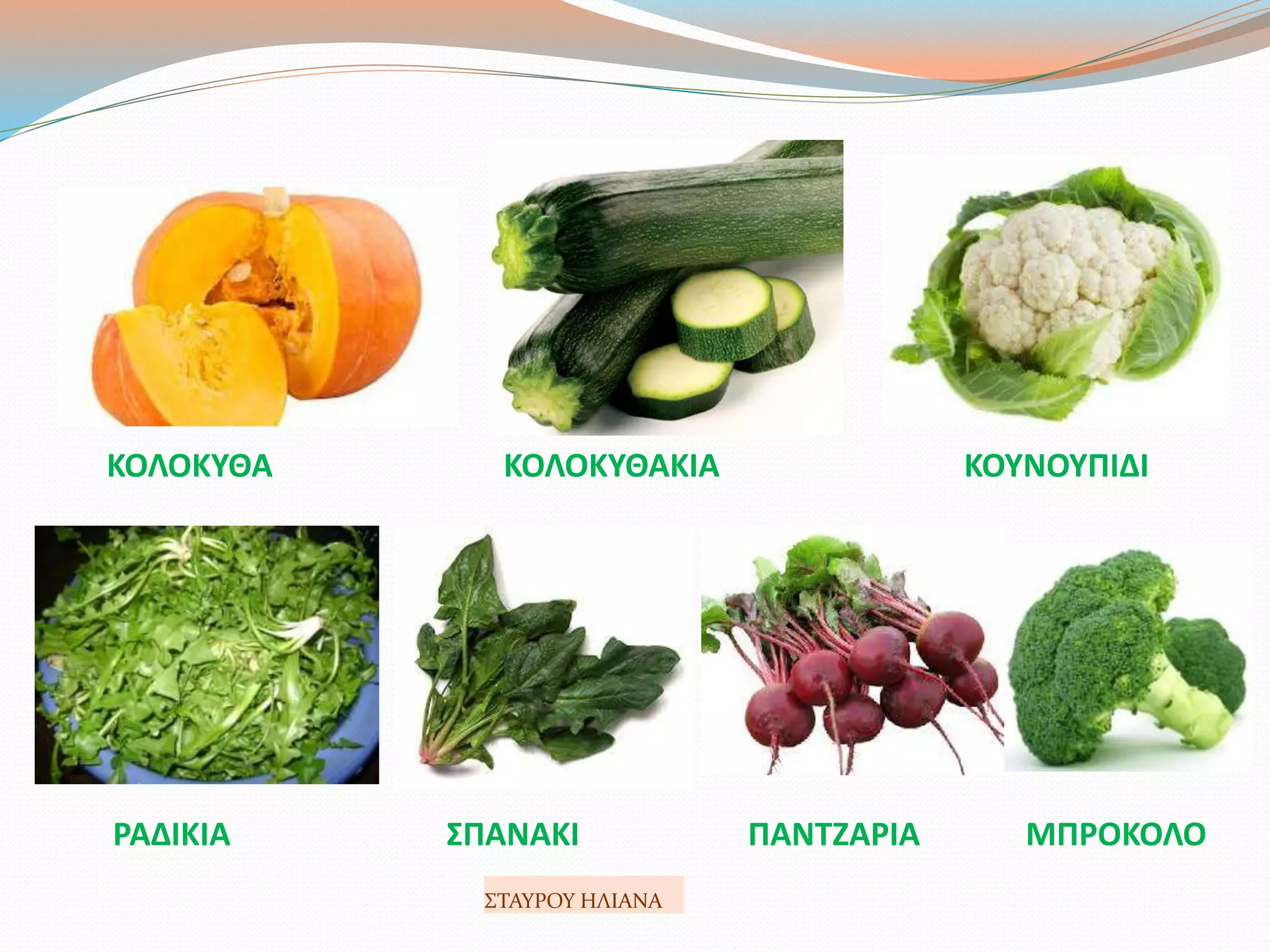 ΚΟΛΟΚΥΘΑ ΚΟΛΟΚΥΘΑΚΙΑ ΚΟΥΝΟΥΠΙΔΙ
ΡΑΔΙΚΙΑ ΣΠΑΝΑΚΙ ΠΑΝΤΖΑΡΙΑ ΜΠΡΟΚΟΛΟ
ΣΤΑΥΡΟΥ ΗΛΙΑΝΑ
 