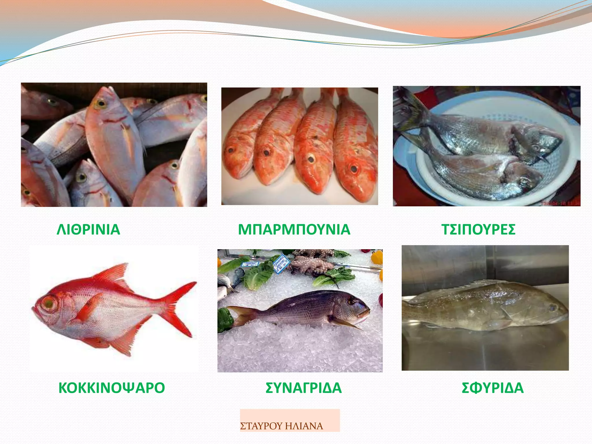 ΛΙΘΡΙΝΙΑ ΜΠΑΡΜΠΟΥΝΙΑ ΤΣΙΠΟΥΡΕΣ
ΚΟΚΚΙΝΟΨΑΡΟ ΣΥΝΑΓΡΙΔΑ ΣΦΥΡΙΔΑ
ΣΤΑΥΡΟΥ ΗΛΙΑΝΑ
 