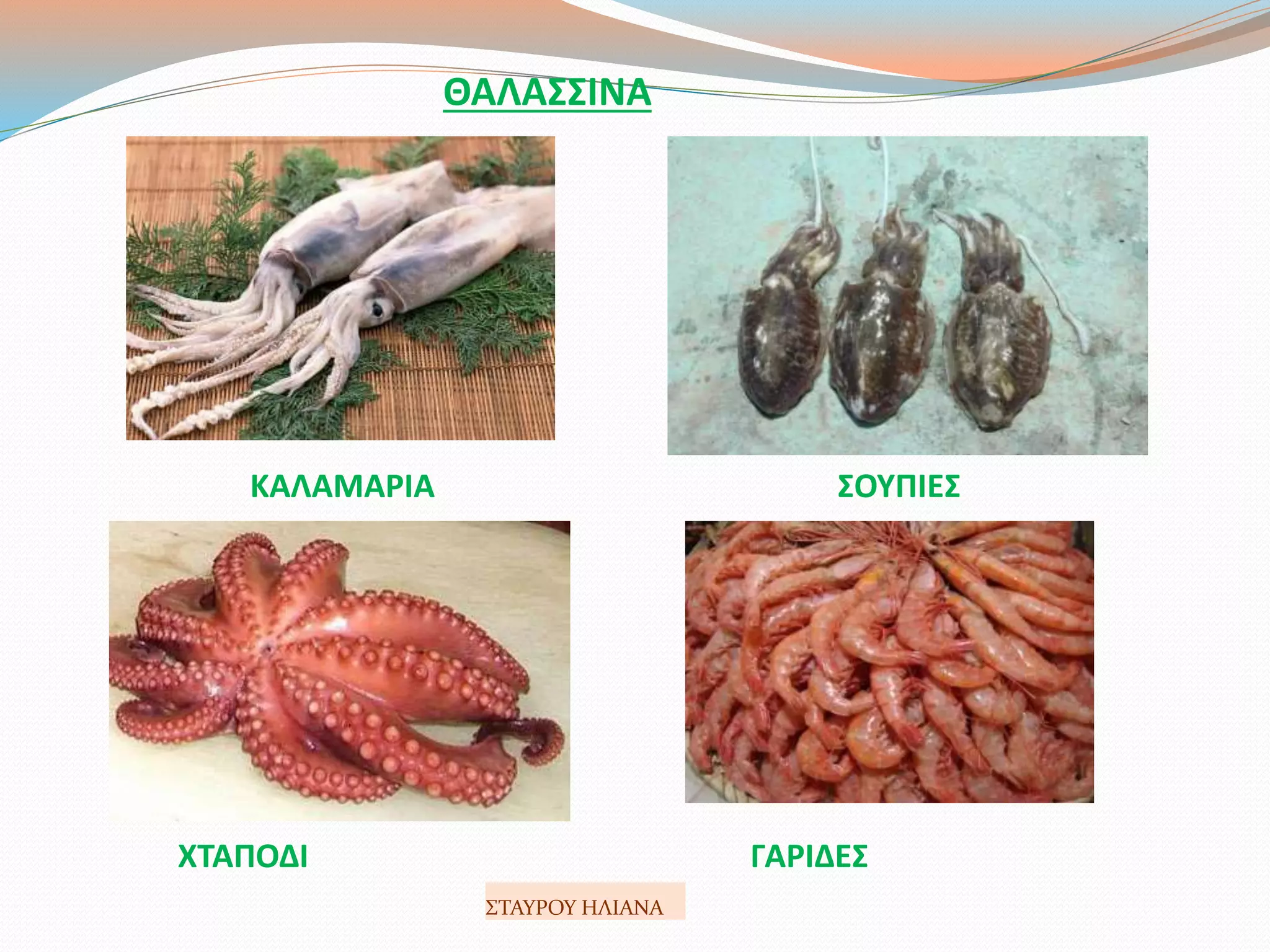 ΘΑΛΑΣΣΙΝΑ
ΚΑΛΑΜΑΡΙΑ ΣΟΥΠΙΕΣ
ΧΤΑΠΟΔΙ ΓΑΡΙΔΕΣ
ΣΤΑΥΡΟΥ ΗΛΙΑΝΑ
 