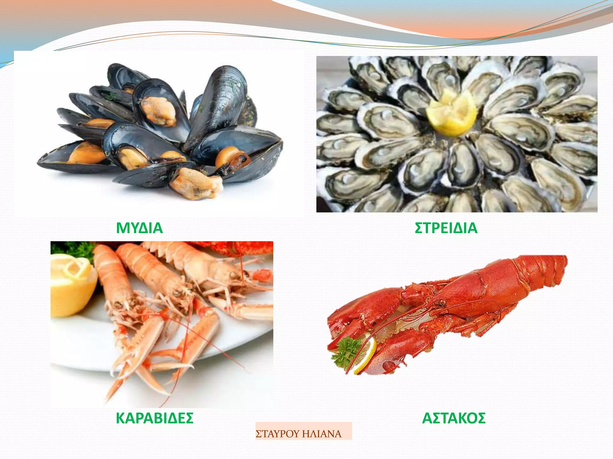 ΜΥΔΙΑ ΣΤΡΕΙΔΙΑ
ΚΑΡΑΒΙΔΕΣ ΑΣΤΑΚΟΣ
ΣΤΑΥΡΟΥ ΗΛΙΑΝΑ
 