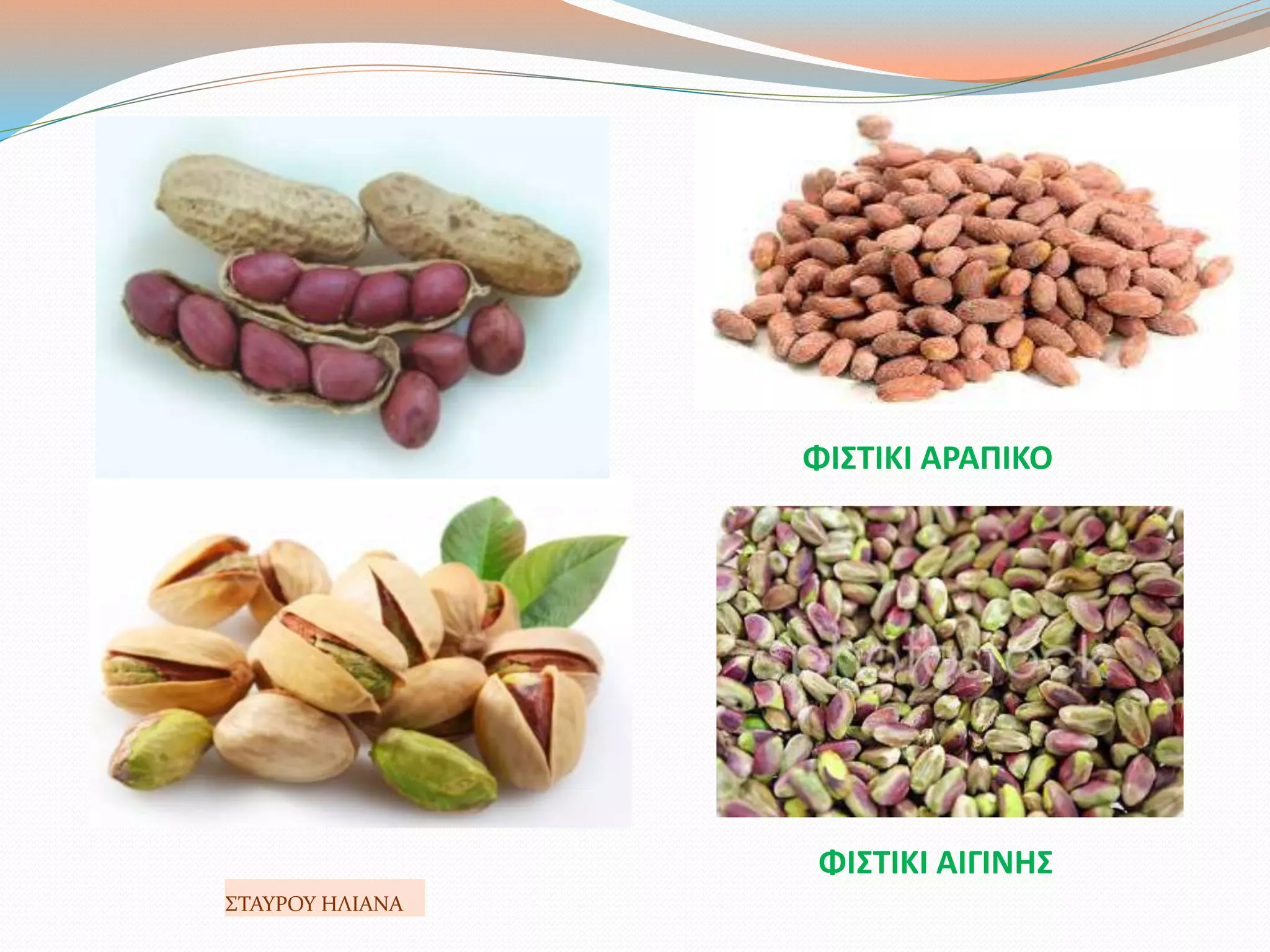 ΦΙΣΤΙΚΙ ΑΡΑΠΙΚΟ
ΦΙΣΤΙΚΙ ΑΙΓΙΝΗΣ
ΣΤΑΥΡΟΥ ΗΛΙΑΝΑ
 