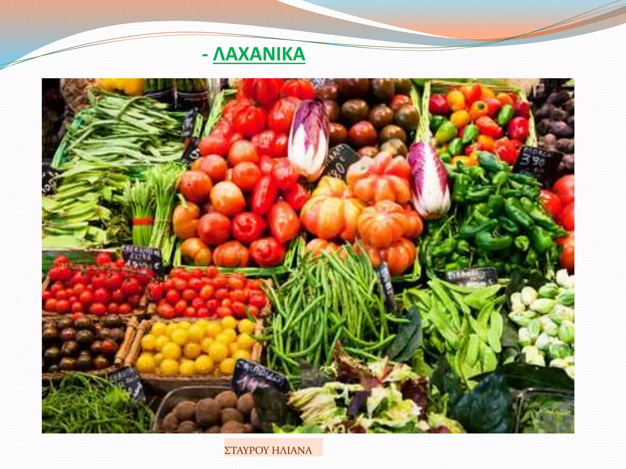 - ΛΑΧΑΝΙΚΑ
ΣΤΑΥΡΟΥ ΗΛΙΑΝΑ
 
