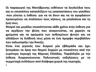 Οι παραγωγοί της Μονόβρυσης εκθέτουν τα λουλούδια τους
και οι επισκέπτες κατακλύζουν τις εγκαταστάσεις του γηπέδου
-που γίνεται η έκθεση- για να τα δουν και να τα αγοράσουν
προκειμένου να στολίσουν τους κήπους, τα μπαλκόνια και τη
ζωή τους.
Μικροί και μεγάλοι επισκέπτονται κάθε χρόνο στην έκθεση για
να αγγίξουν την φύση που αναγεννιέται, να χαρούν τα
χρώματα και τα αρώματα των ανθισμένων φυτών και να
αλλάξουν τη διάθεσή τους μέσα σε ένα όμορφο περιβάλλον
που καλωσορίζει την Άνοιξη.
Είναι ένα γεγονός που διαρκεί μία εβδομάδα και έχει
ξεπεράσει τα όρια του Νομού Σερρών με επισκέπτες από την
ευρύτερη περιοχή της Βόρειας Ελλάδας. Παράλληλα με την
έκθεση διοργανώνονται Πολιτιστικές εκδηλώσεις με τη
συμμετοχή συλλόγων από διάφορα χωριά της περιοχής.
•
 