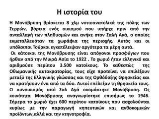 Η ιστορία του
Η Μονόβρυση βρίσκεται 8 χλμ νοτιοανατολικά της πόλης των
Σερρών, βόρεια ενός οικισμού που υπήρχε πριν από την
ανταλλαγή των πληθυσμών και ανήκε στον Σαλή Αγά, ο οποίος
εκμεταλλευόταν τα χωράφια της περιοχής. Αυτός και οι
υπόλοιποι Τούρκοι εγκατέλειψαν αργότερα τα μέρη αυτά.
Οι κάτοικοι της Μονόβρυσης είναι απόγονοι προσφύγων που
ήρθαν από την Μικρά Ασία το 1922 . Το χωριό ήταν ελληνικό και
αριθμούσε περίπου 3.500 κατοίκους. Το καθεστώς της
Οθωμανικής αυτοκρατορίας, τους είχε προτείνει να επιλέξουν
μεταξύ της Ελληνικής γλώσσας και της Ορθόδοξης Θρησκείας και
να κρατήσουν ένα από τα δύο. Αυτοί επέλεξαν τη θρησκεία τους.
Ο συνοικισμός από Σαλ Αγά ονομάστηκε Μονόβρυση. Ως
κοινότητα Μονόβρυσης αναγνωρίστηκε επισήμως το 1946.
Σήμερα το χωριό έχει 600 περίπου κατοίκους που ασχολούνται
κυρίως με την παραγωγή κηπευτικών και ανθοκομικών
προϊόντων,αλλά και την κτηνοτροφία.
 