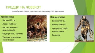 Потекло на човекот | PPT