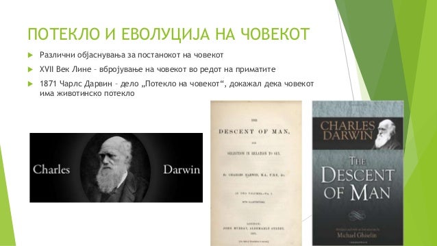 Потекло на човекот
