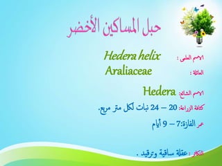 ‫العلمى‬ ‫الامس‬:Hederahelix
‫العائةل‬:Araliaceae
‫الشائع‬ ‫الامس‬:Hedera
‫الزراعة‬ ‫كثافة‬:20–24‫بع‬‫ر‬‫م‬ ‫مرت‬ ‫للك‬ ‫بات‬‫ن‬.
‫معر‬‫الفازة‬:7–9‫ايم‬‫أ‬
‫التاكثر‬:‫قيد‬‫ر‬‫ت‬‫و‬ ‫ساقية‬ ‫عقةل‬.
 