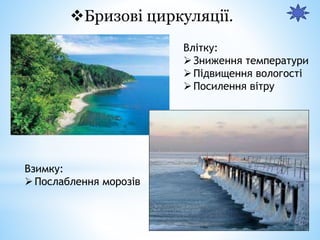 Бризові циркуляції.
Влітку:
Зниження температури
Підвищення вологості
Посилення вітру
Взимку:
Послаблення морозів
 