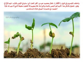 ‫تأويل‬ ‫في‬‫ن‬‫و‬‫املفسر‬ ‫واختلف‬‫بعضهم‬‫فقال‬ ،﴾ َ‫ار‬
َّ
‫ف‬
ُ
‫ك‬
ْ
‫ال‬﴿:‫من‬‫هو‬:َّ‫ب‬ َ‫الح‬‫ر‬
َ
‫ف‬
َ
‫ك‬.‫أي‬:‫ر‬‫اْل‬‫في‬ ‫ستره‬ُ‫اع‬ َّ‫ر‬ُّ‫الز‬‫فهم‬ ‫؛‬‫بالتراب‬ ‫ض‬.
‫وقيل‬:‫الذ‬ ‫حقيقة‬ ُ‫ب‬ َ‫ج‬ ْ‫ع‬
ُ
‫امل‬ ‫إَل‬‫يعجبهم‬‫فال‬ ،‫اعة‬‫ر‬‫والز‬‫بالنبات‬‫البصر‬‫أهل‬‫ْلنهم‬ ‫؛‬‫هنا‬‫بالذكر‬‫وا‬ُّ‫ص‬
ُ
‫خ‬‫له‬‫عيب‬ ‫َل‬ ‫ي‬.‫فإذا‬
‫أعجبهم‬-‫به‬ ‫علمهم‬‫مع‬-‫يستحسن‬‫ما‬‫غاية‬ ‫في‬‫فهو‬.
 