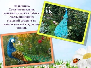 «Павлины»
Создание павлина,
конечно не легкая работа.
Часы, дни Ваших
стараний создадут на
вашем участке ощущения
сказки.
 