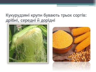 крупи | PPT