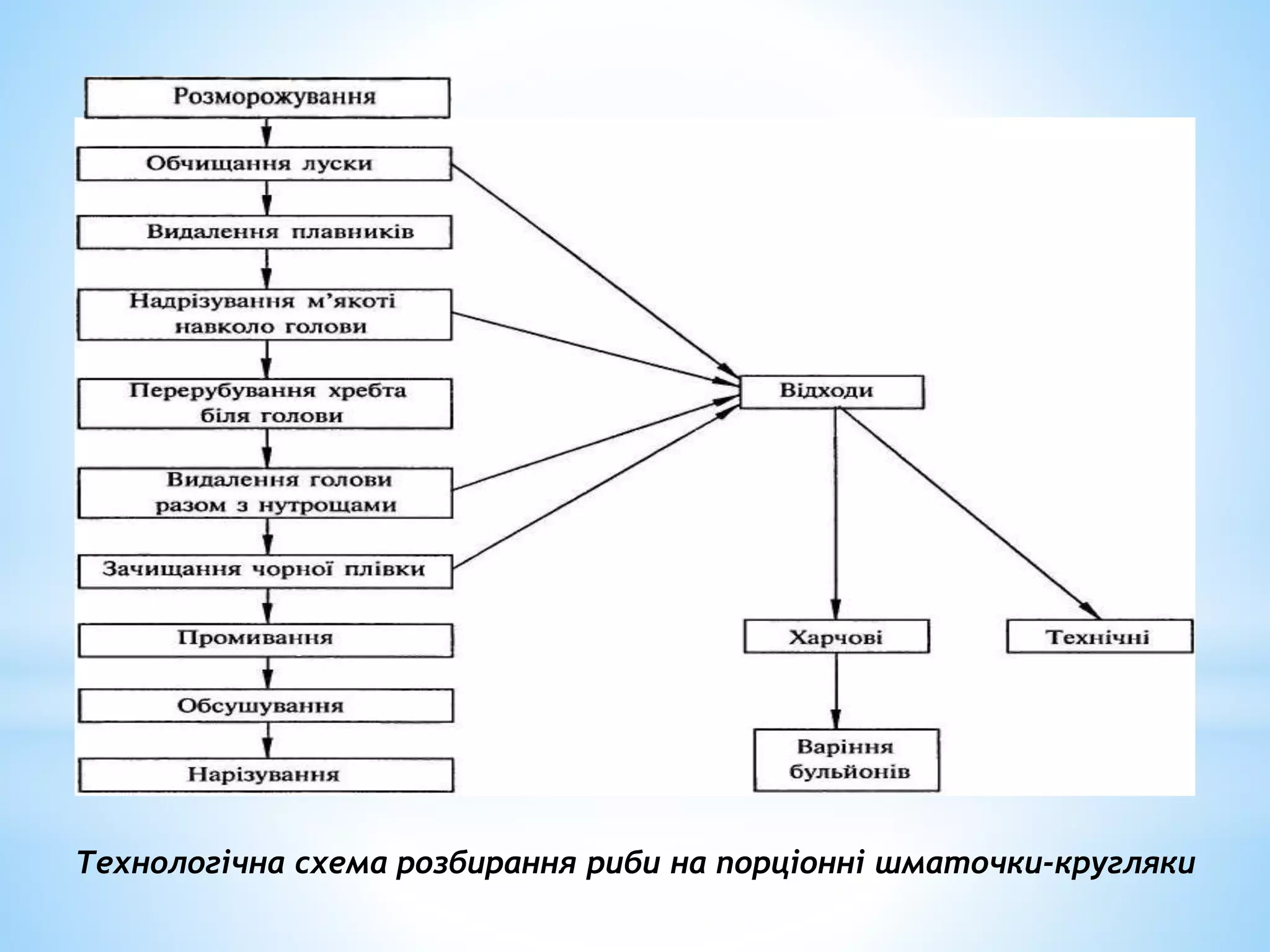 Технологічна схема розбирання риби на порціонні шматочки-кругляки
 