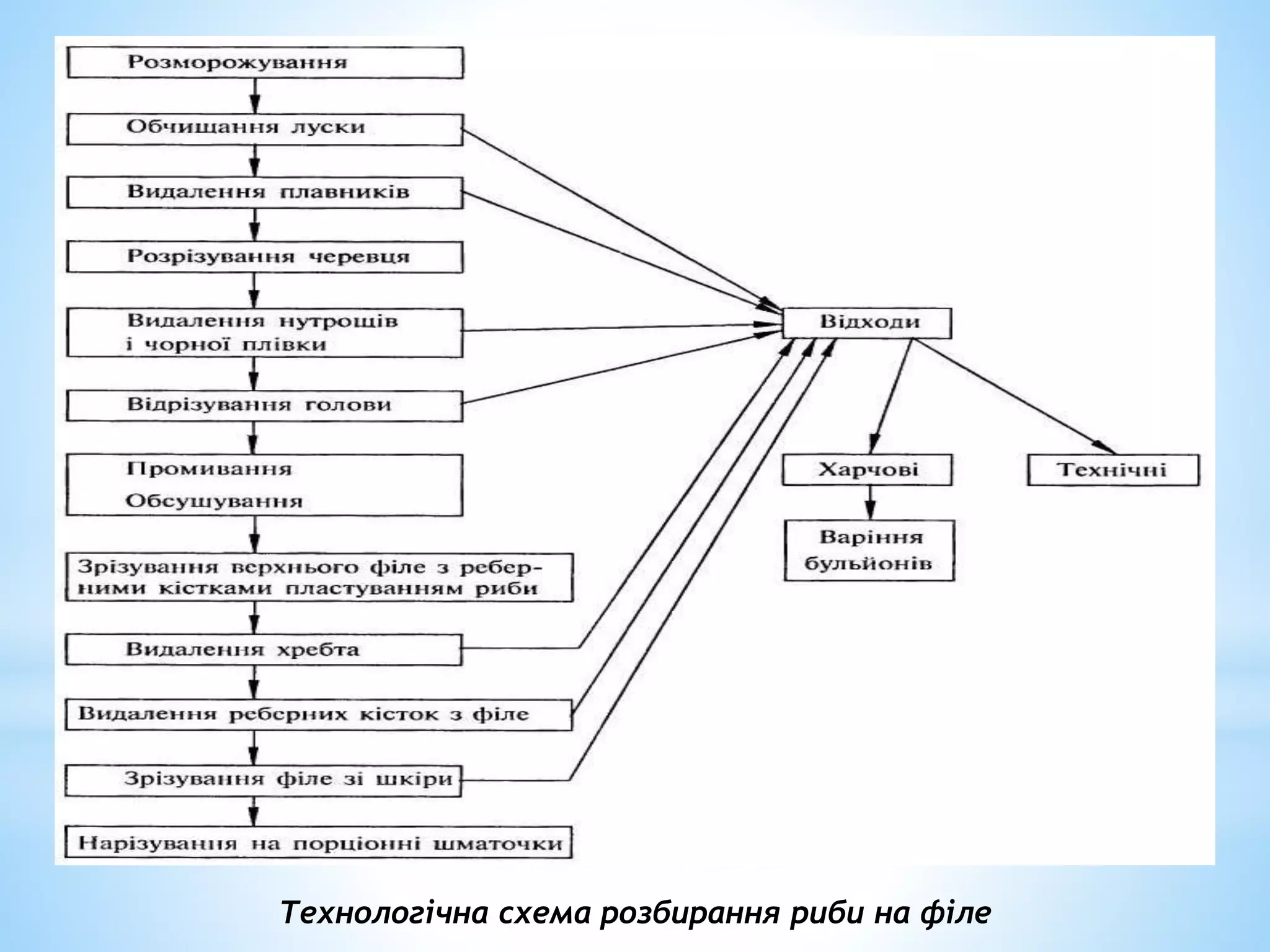 Технологічна схема розбирання риби на філе
 