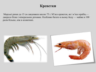 Креветки
Морські рачки до 15 см завдовжки масою 75 г. М’ясо креветок, як і м’ясо крабів,—
джерело білка і мінеральних речовин. Особливо багато в ньому йоду — майже в 100
разів більше, ніж в яловичині.
 