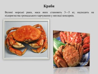 Краби
Великі морські раки, маса яких становить 3—5 кг, надходять на
підприємства громадського харчування у вигляді консервів.
 