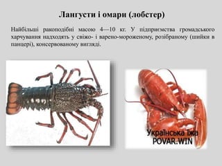 Лангусти і омари (лобстер)
Найбільші ракоподібні масою 4—10 кг. У підприємства громадського
харчування надходять у свіжо- і варено-мороженому, розібраному (шийки в
панцері), консервованому вигляді.
 