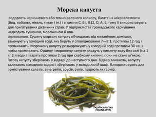 Морска капуста
водорость коричневого або темно-зеленого кольору, багата на мікроелементи
(йод, кобальт, нікель, титан і ін.) і вітаміни С, В і, В12, D, А, Е, тому її використовують
для приготування дієтичних страв. У підприємства громадського харчування
надходить сушеною, мороженою й кон-
сервованою. Сушену морську капусту обчищають від механічних домішок,
замочують у холодній воді, яку беруть у співвідношенні 7—8:1, протягом 12 год і
промивають. Морожену капусту розморожують у холодній воді протягом ЗО хв, а
потім промивають. Сушену і морожену капусту кладуть у киплячу воду без солі (на 1
кг 2 л води) і варять протягом 2 год при слабкому кипінні, поки не стане м’якою.
Готову капусту зберігають у відварі до наступного дня. Відвар зливають, капусту
заливають холодною водою і зберігають у холодильній шафі. Використовують для
приготування салатів, вінегретів, соусів, супів, подають як гарнір.
 