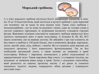 Морський гребінець
А в м'ясі морського гребінця міститься безліч мінеральних елементів, а саме:
від 10 до 19 відсотків білка, який міститься в мускулі гребінця і дуже корисний
для чоловіків, так як надає їм всім відомої сили. Також м'ясо гребінця є
низькокалорійним , що не може не радувати і жінок, адже це головна умова в
системі здорового харчування та дотримання всесвітніх стандартів стрункої
фігури. Важливим цілющим властивістю морського гребінця вважається його
здатність зменшувати вміст в крові холестерину. А вітаміни В, BI, B2, B12
мають позитивну дію на нервову систему. Не забувайте і про такі елементи, як
йод (якого в гребінці в 150 разів більше, ніж в яловичині), фосфор, марганець,
залізо, магній, цинк, мідь, кобальт, і миш'як. Всі ці елементи дуже важливі для
людського організму і його нормального функціонування. Так як йод
необхідний щитовидній залозі, а також впливає на зниження в крові
холестерину. Кобальт і марганець допомагають у роботі підшлункової та
паращитовидної залоз. Також марганець бере участь і в утворенні інсуліну, що
відповідає за зниження рівня цукру в крові. Залізо є складовою гемоглобіну,
який розносить по нашому організму кисень. І всі разом ці елементи
зміцнюють імунітет людини, покращують обмін речовин і підвищують
життєвий тонус .
 