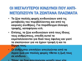ΟΙ ΜΕΓΑΛΥΤΕΡΟΙ ΚΙΝΔΥΝΟΙ ΠΟΥ ΑΝΤΙ-
ΜΕΤΩΠΙΖΟΥΝ ΤΑ ΖΩΝΤΑΝΑ ΠΛΑΣΜΑΤΑ
• Τα ζώα πολλές φορές κινδυνεύουν από τις
μεταβολές του περιβάλλοντος και από τις
καιρικές συνθήκες. Για παράδειγμα έλλειψη
τροφής, καταφύγιου κτλ.
• Επίσης, τα ζώα κινδυνεύουν από τους ίδιους
τους ανθρώπους, επειδή αυτοί τα
εκμεταλλεύονται για δικό τους όφελος και γιατί
τα σκοτώνουν για να έχουν τροφή ή και το
δέρμα τους.
• Οι άνθρωποι επιπλέον απειλούνται από τα
άγρια ζώα και πολλές φορές τίθεται η ζωή τους
σε κίνδυνο.
 