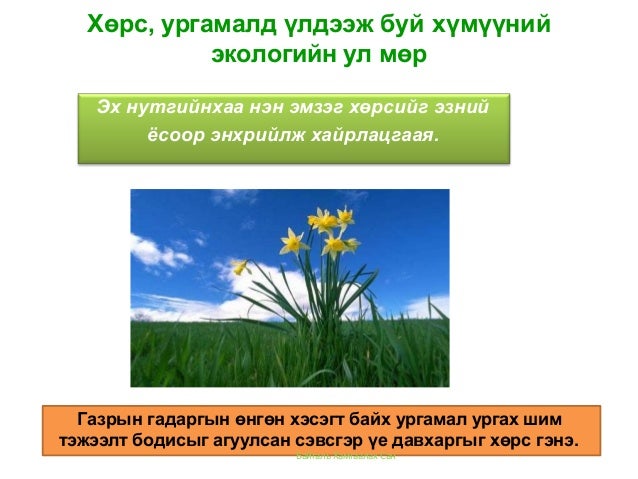Хүний экологийн ул мөр