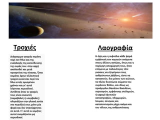 Τροχιές Λαογραφία
Διάγραμμα τροχιάς κομήτη
περί τον Ήλιο και της
εναλλαγής της κατεύθυνσης
της ουράς του: στην αρχή
ακολουθεί και μετά
προηγείται της κίνησης. Όσοι
κομήτες έχουν ελλειπτική
τροχιά κινούνται περί τον
Ήλιο εντός ορισμένου
χρόνου και γι' αυτό
λέγονται περιοδικοί.
Αντίθετα όταν οι τροχιές
τους είναι ανοικτές
(παραβολές ή υπερβολές)
πλησιάζουν την ηλιακή εστία
στο περιήλιό τους μόνο μία
φορά και δεν επανέρχονται
σε αυτό. Γι' αυτό οι κομήτες
αυτοί ονομάζονται μη
περιοδικοί.
Η όψη και η αιφνίδια κάθε φορά
εμφάνισή των κομητών ανάμεσα
στους άλλους αστέρες, όπως και η
περίεργη αποχώρησή τους, ήταν
επόμενο με παλαιότερες τότε
γνώσεις να εξεγείρουν τους
ανθρώπινους φόβους, ώστε να
καταστούν, δια μέσου των αιώνων,
τα πλέον δυσοίωνα σώματα του
ουράνιου θόλου, και ιδίως ως
προάγγελοι θανάτου Βασιλέων,
στρατηγών, εμφάνισης επιδημιών,
ή ερχομό φυσικών
καταστροφών, πλημμυρών,
λοιμών, σεισμών και
καταποντισμών μέχρι ακόμα και
του τέλους της ανθρωπότητας
 