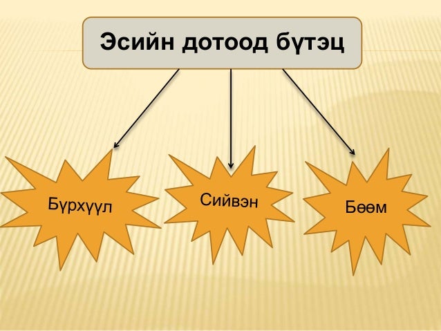 эсийн бүтэц